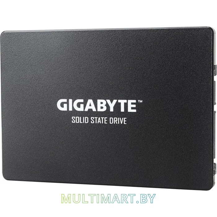 SSD диск Gigabyte 1TB (GP-GSTFS31100TNTD)